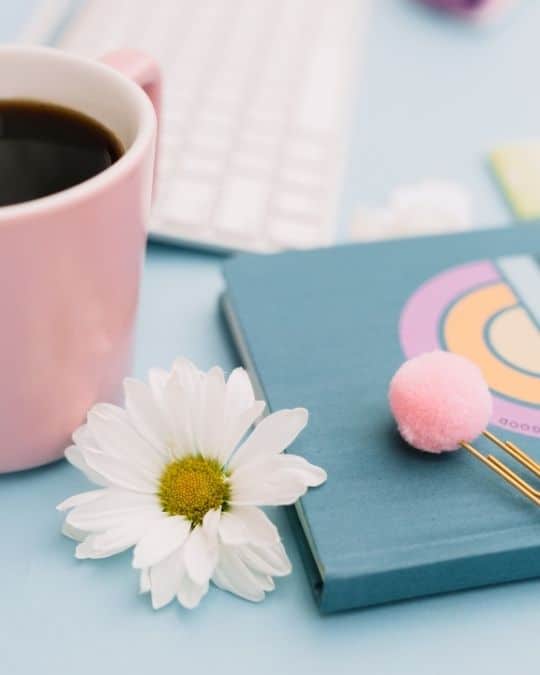 How to Choose a Planner Which One is the Best for You